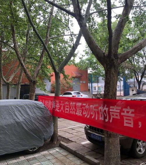 北京区东高地最新爆料,揭秘北京区东高地发展新动向  第2张