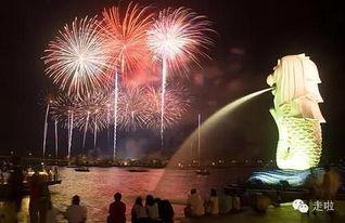 新加坡过年烟花爆料视频  第3张