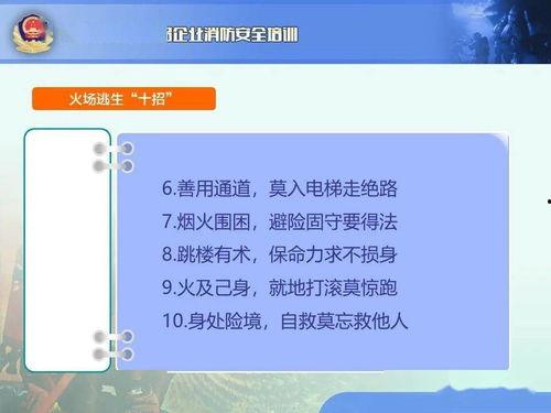 爆料安全官视频,深度解析网络安全漏洞与防护策略  第2张