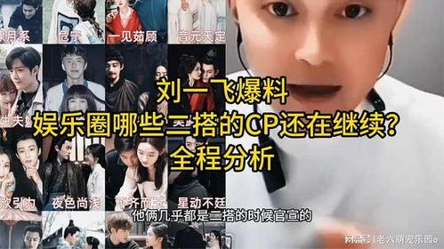 娱乐圈里面的cp爆料,揭秘明星背后的情感纠葛  第3张