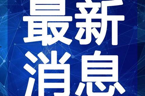 爆料刘哥历史视频大全最新,历史视频大全中的精彩瞬间回顾  第3张
